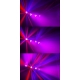 PartyBar1 rinkinys su stovu 2x LED Par ir 2x Jellymoon RGBW