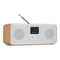 Audizio Bucine Stereo internetinis radijo imtuvas, sidabrinis