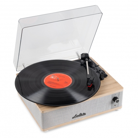 Audizio Irvine patefonas su BT, šviesus medis