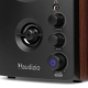 Audizio BS25 aktyvios lentyninės kolonėlės, 40 W, BT, rudas medis